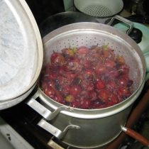 Соковарка – позволяет получить готовый для закатывания продукт, если фруктов много