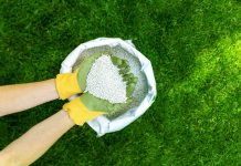 Соотношение NPK: что означают цифры на удобрении?