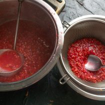 Распаренные ягоды давим толкушкой, стараясь раздавить каждую ягодку. Горячее пюре оставляем
