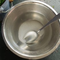 Наливаем в миску фильтрованную или родниковую воду. Добавляем в воду соль