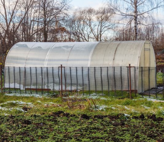 11 способов обогреть теплицу без обогревателя - Теплицы и гидропоника 11 способов обогреть теплицу без обогревателя