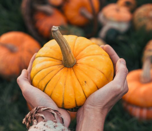 Хэллоуин близко — все о декоративных тыквах