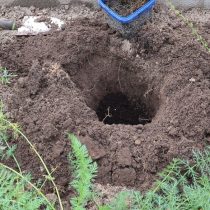 Яму желательно копать сразу большую, заложив на её дно дренажный слой