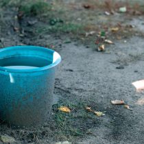 Крыс привлекают прохудившиеся трубы, ведра с водой, лужи, пруды и другие источники стоячей воды Крыс привлекают прохудившиеся трубы, ведра с водой, лужи, пруды и другие источники стоячей воды