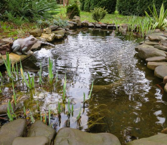 Утепляем пруд шаг за шагом