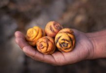 10 необычных и интересных овощей