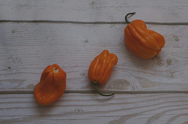 Перец китайский «Тринидад парфюм» (Capsicum Chinense 'Trinidad Perfume')