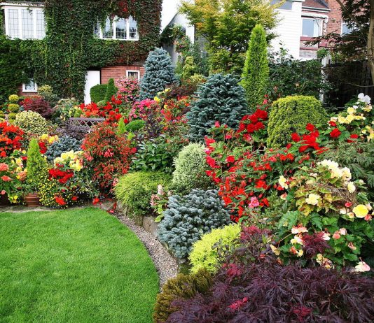 Продумываем миксбордер по шагам