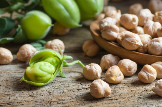 Нут — однолетняя бобовая культура, которую сажают весной и собирают в конце лета после долгого вегетационного периода. То, что мы называем нутом, ботанически не является горохом, это семена, которые растут в маленьких семенных коробочках, а не в стручках