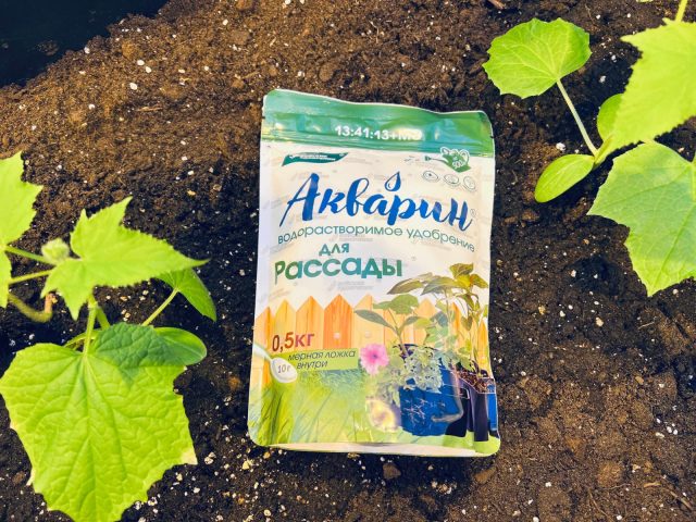 «Акварин» для рассады — это тщательно подобранный комплекс тех элементов, которые нужны растениям на самых ранних этапах рост «Акварин» для рассады — это тщательно подобранный комплекс тех элементов, которые нужны растениям на самых ранних этапах рост