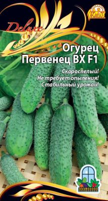 Огурец «Первенец ВХ F1» Огурец «Первенец ВХ F1»