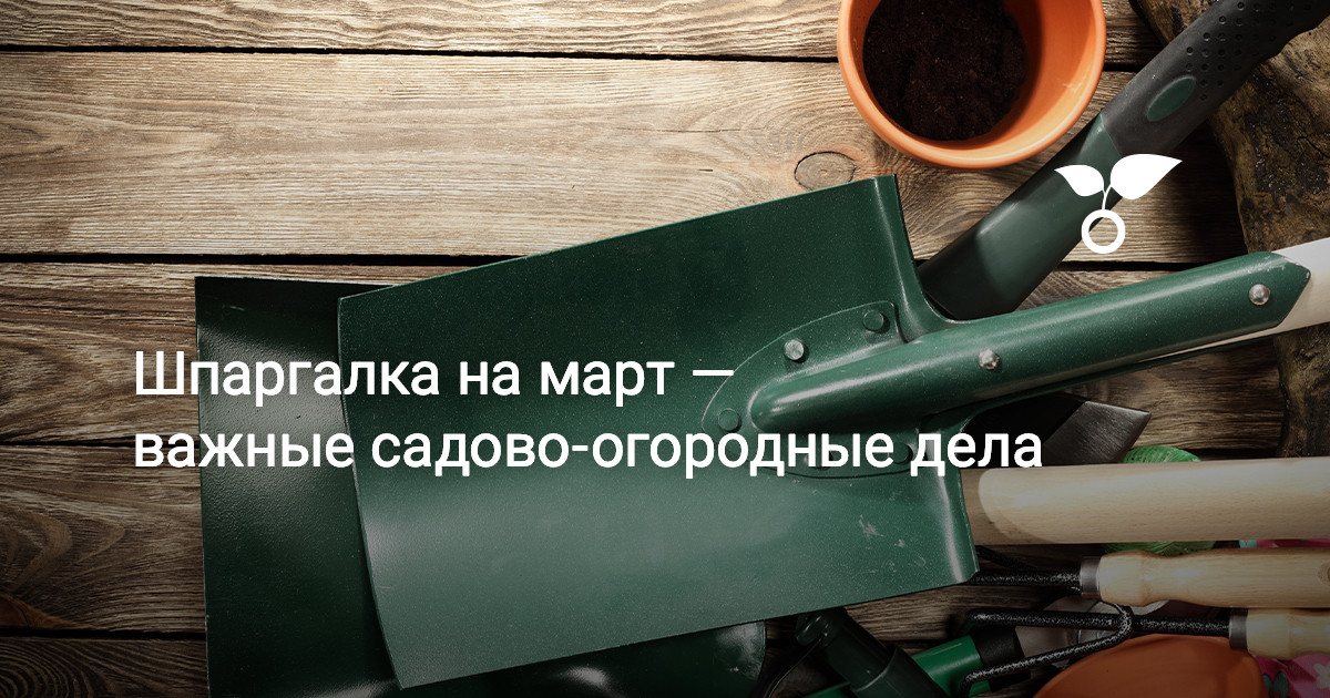 Шпаргалка на март — важные садово-огородные дела — Ботаничка