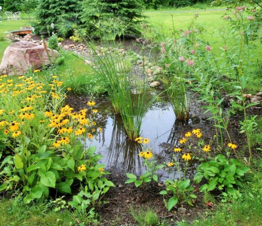 Как создать дождевой сад? - Цветник и ландшафт Дождевые цветники обычно располагаются в одном из двух мест: рядом с домом-гаражом-подъездной дорогой, на краю лужайки или мощения на самой нижней стороне вашего участка