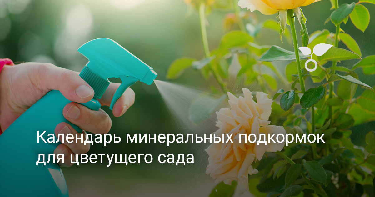 Календарь минеральных подкормок для цветущего сада — Ботаничка