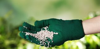 Календарь подкормок в саду — что, когда, куда?