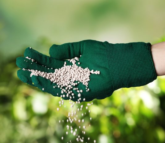 Календарь подкормок в саду — что, когда, куда?