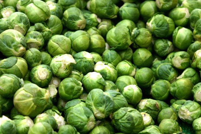 Брюссельская капуста (Brassica oleracea var. Gemmifera) Брюссельская капуста (Brassica oleracea var. Gemmifera)