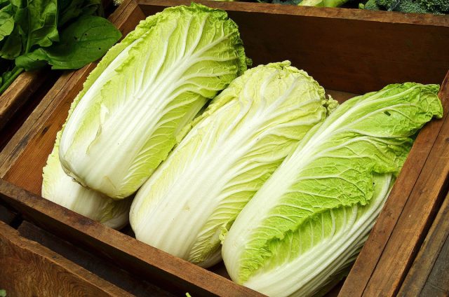 Пекинская капуста (Brassica rapa subsp. pekinensis) Пекинская капуста (Brassica rapa subsp. pekinensis)