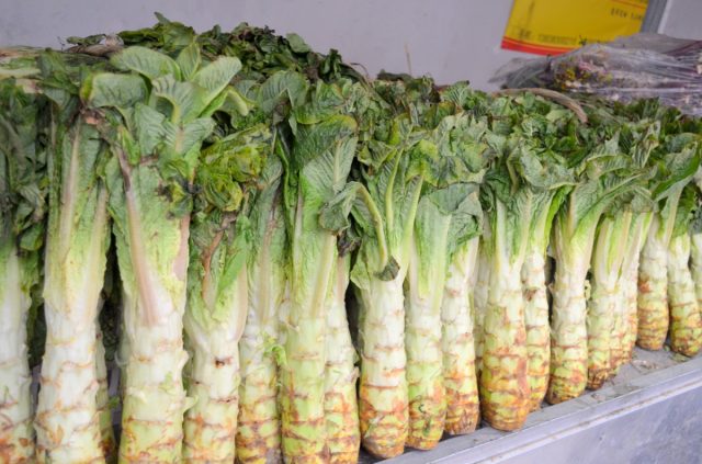 Спаржевый салат (Lactuca sativa var. asparagina)