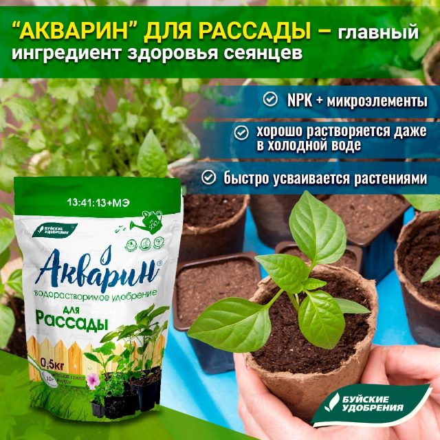 Для подкормок подросших саженцев используется «Акварин» для рассады из расчёта 10-20 г на 10 л воды. Для подкормок используется «Акварин» для рассады из расчёта 10-20 г на 10 л воды.