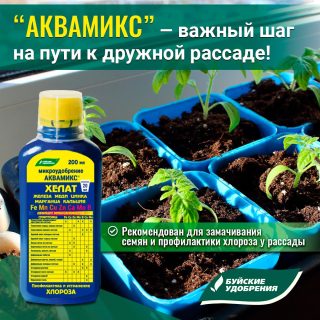 Активировать прорастание семян любых цветов можно с помощью микроэлементного комплекса «Аквамикс» Активировать прорастание семян любых цветов можно с помощью микроэлементного комплекса «Аквамикс»