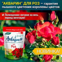 «Акварин» для роз необходимо вносить раз в 10-15 дней (7-15 г на 10 л) «Акварин» для роз необходимо вносить раз в 10-15 дней (7-15 г на 10 л)