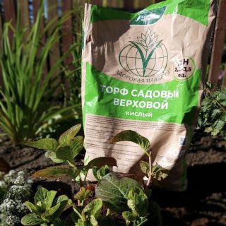 Почвенная смесь на основе верхового торфа «Здоровая планета» от Буйского химического завода Почвенная смесь на основе верхового торфа «Здоровая планета» от Буйского химического завода