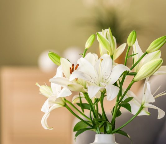 Выбираем букет: какие цветы будут стоять долго? - Красивоцветущие