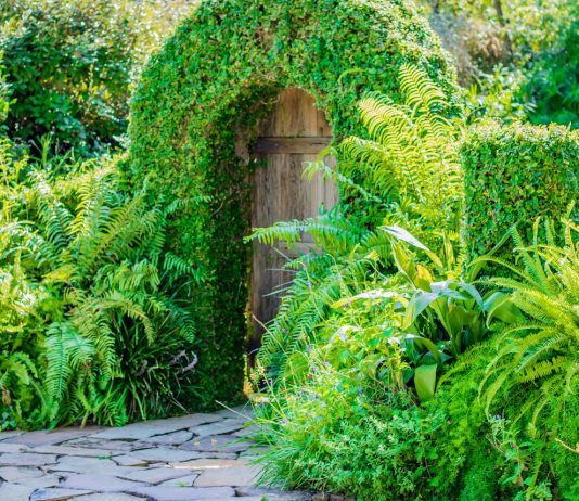 10 идей как защитить свой сад от чужих глаз