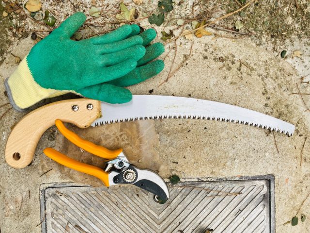 Убедитесь, что у вас есть подходящие инструменты для работы. Убедитесь, что у вас есть подходящие инструменты для работы.