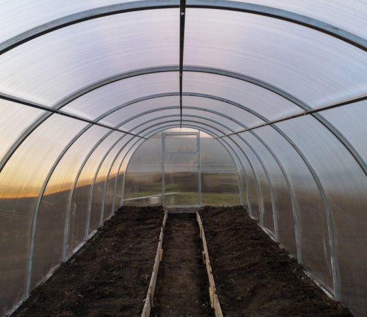 Как подготовить поликарбонатную теплицу перед посадкой весной? - Теплицы и гидропоника Как подготовить поликарбонатную теплицу перед посадкой весной