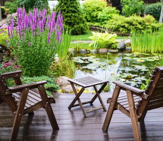 10 причин установить пруд на участке