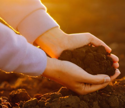 Избавляемся от проблем в саду с помощью гумат калия