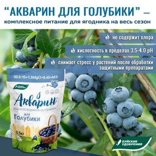 «Акварин» для голубики