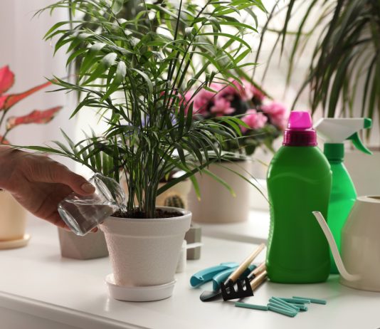 Досье удобрений — подбираем лучшее для своих цветов