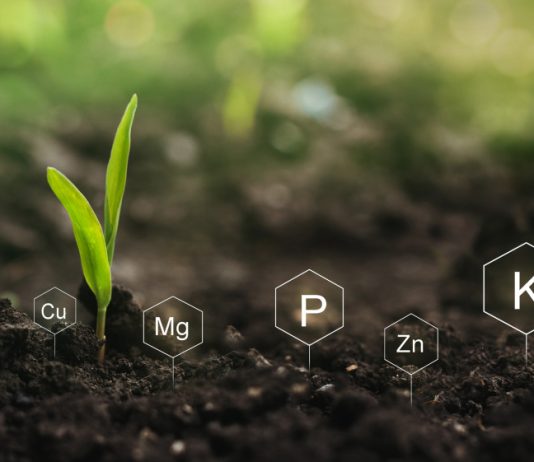 Как хелатные удобрения восстанавливают баланс микроэлементов без засоления почв?