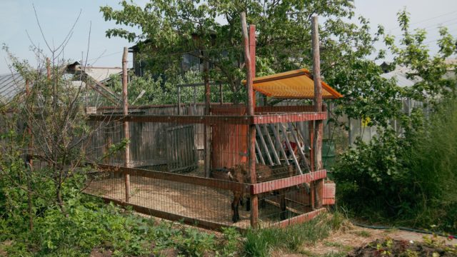 Ограждение может быть сделано из деревянных досок и реек или же из металлической сетки или решётки.