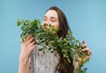 Какие растения очищают воздух в нашем доме? Разбиваем самый популярный миф