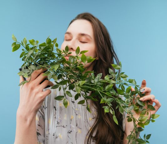 Какие растения очищают воздух в нашем доме? Разбиваем самый популярный миф