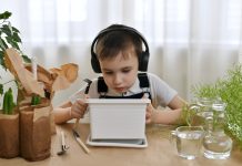 В какие мифы верят даже опытные цветоводы комнатных растений?