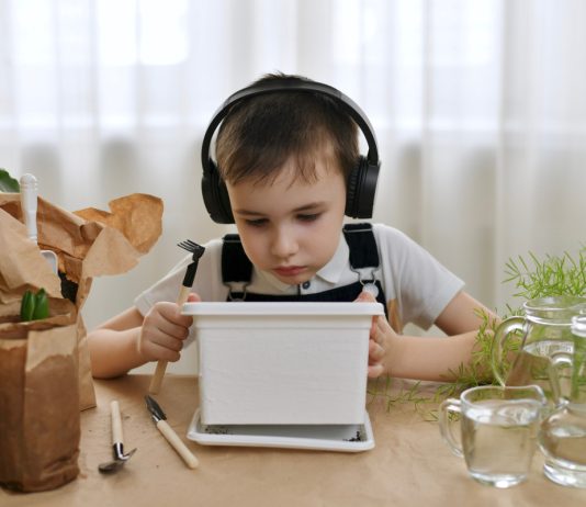 11 мифов о комнатных растениях — в них верят даже опытные цветоводы - Комнатные растения В какие мифы верят даже опытные цветоводы комнатных растений?