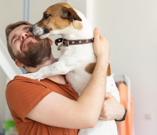 Воспитываем послушную собаку — простой гайд для новичков