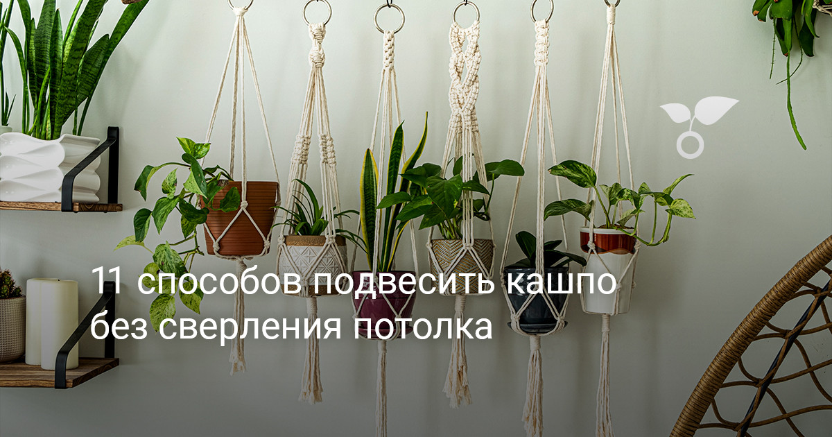 11 способов подвесить кашпо без сверления потолка — Ботаничка