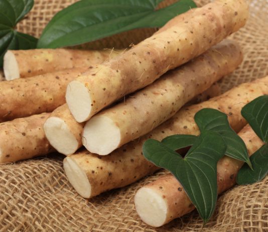 Диоскорея — верная помощница для цветника, огорода и вашего здоровья