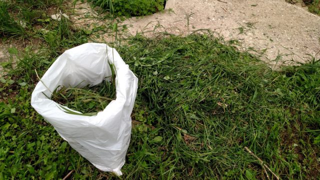 Нужно выстелить ёмкость или мешок полимерной плёнкой или большим полиэтиленовым пакетом Нужно выстелить ёмкость или мешок полимерной плёнкой или большим полиэтиленовым пакетом