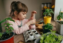 Какой цветок вырастить с ребенком — яркие растения для непосед