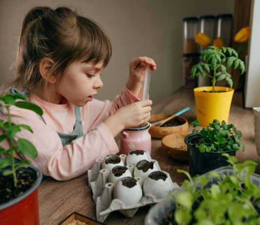 Какой цветок вырастить с ребенком — яркие растения для непосед
