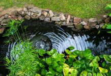 Какой построить пруд: 10 простых идей для садового водоема