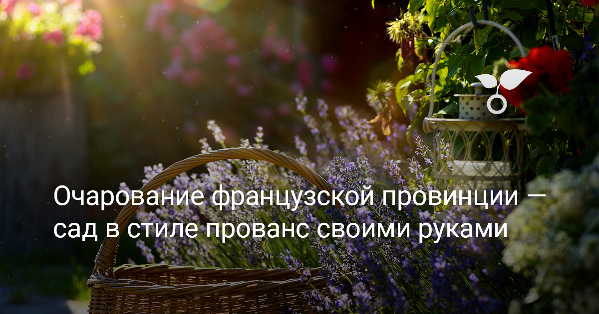 Очарование французской провинции — сад в стиле прованс своими руками — Ботаничка