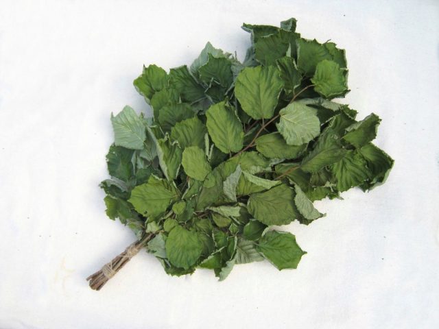 Орешниковый веник